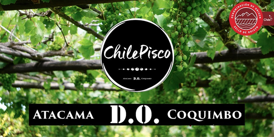 ¿Sabes sobre la Denominación de Origen Pisco?