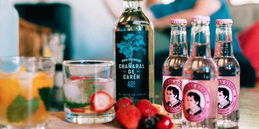 Descubre excelentes cocteles con Pisco