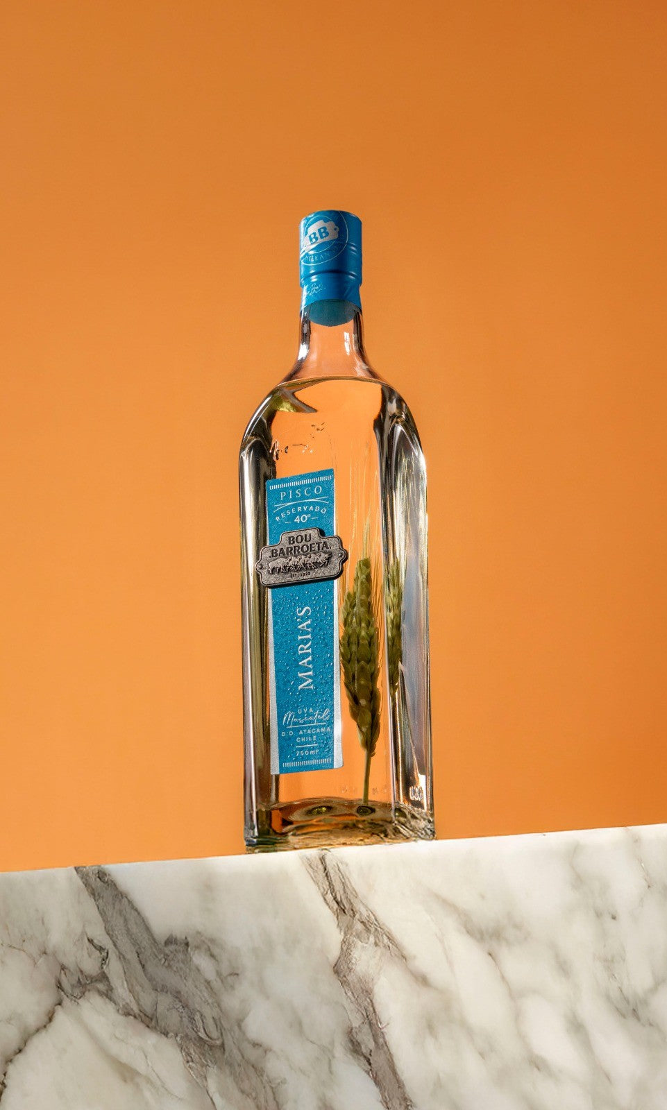 Pisco Bou Barroeta, Maria`s 40º 750cc