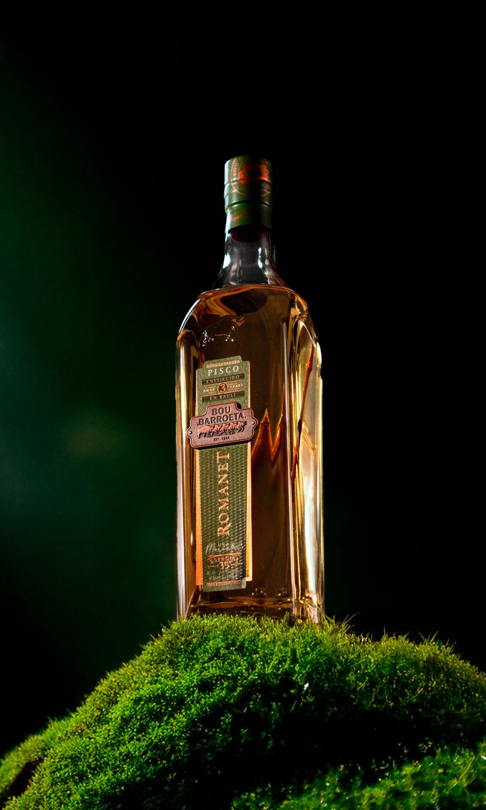 Pisco Bou Barroeta, Romanet 35º 750cc