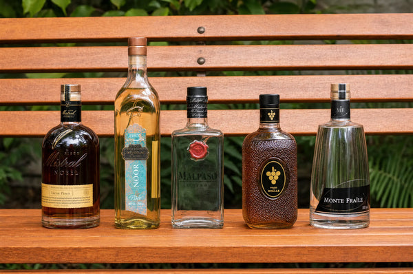 ¿Conoces los diferentes tipos de Pisco?