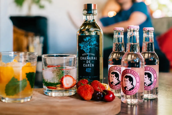 Descubre excelentes cocteles con Pisco